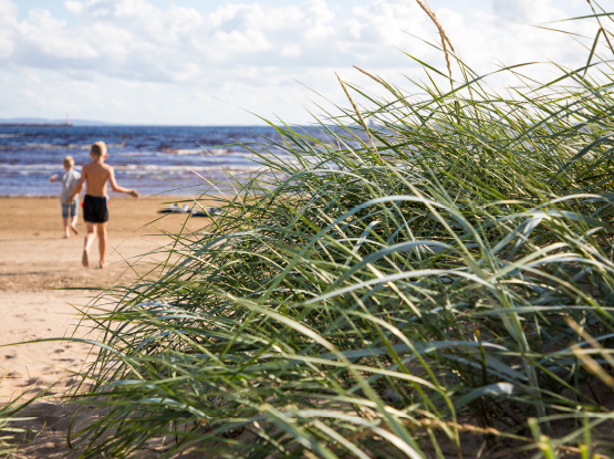 Västra Allén är bara en kort promenad till en fin naturstrand. Västra Stranden är en 1,2 kilometer härlig sandstrand som du når via Prins Bertils stig.